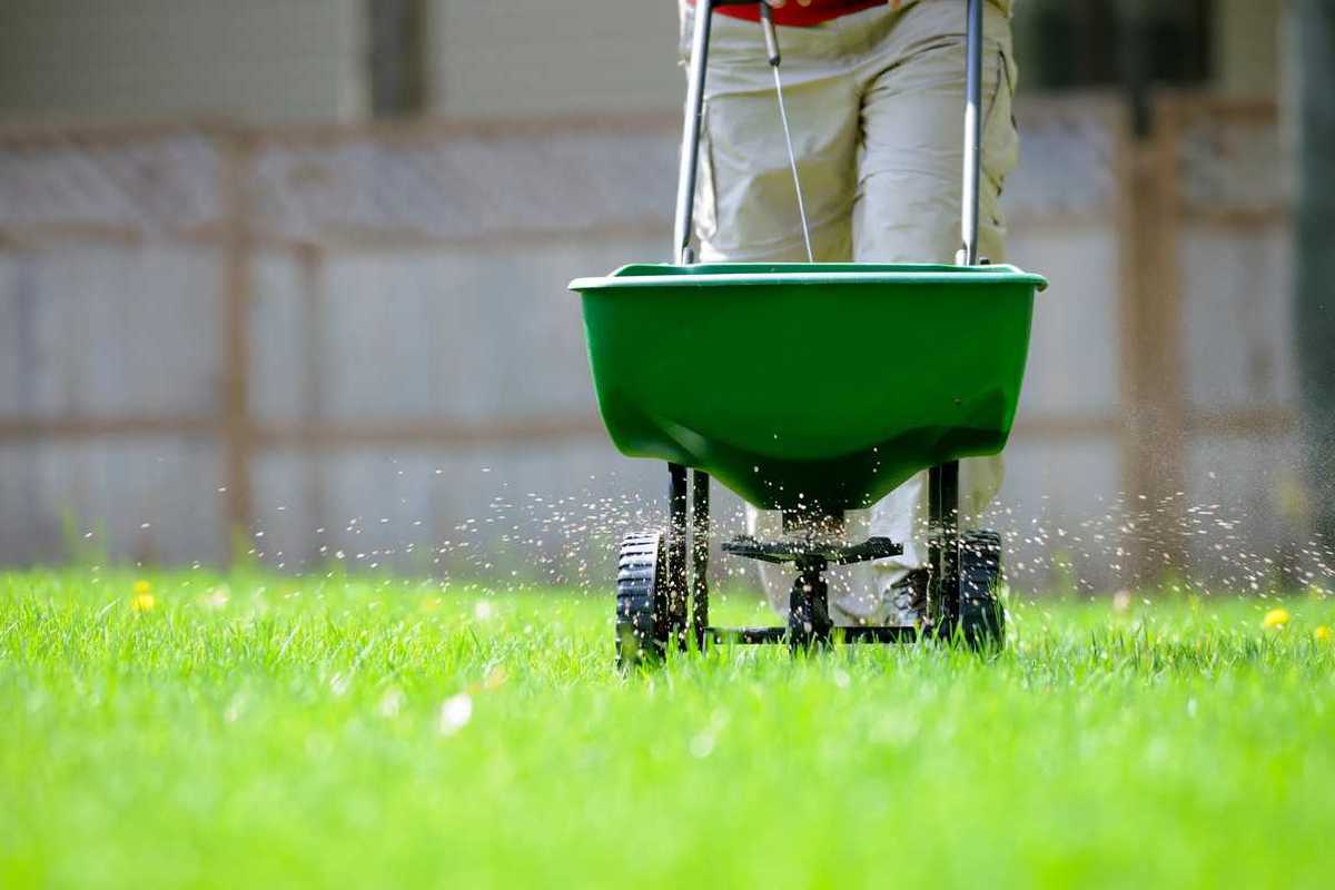 A Quick Guide for Winterizing Your Lawn for the Winter Season