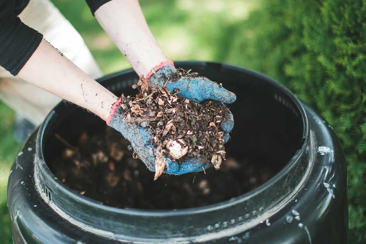 Composting Made Simple: A Beginner’s Guide