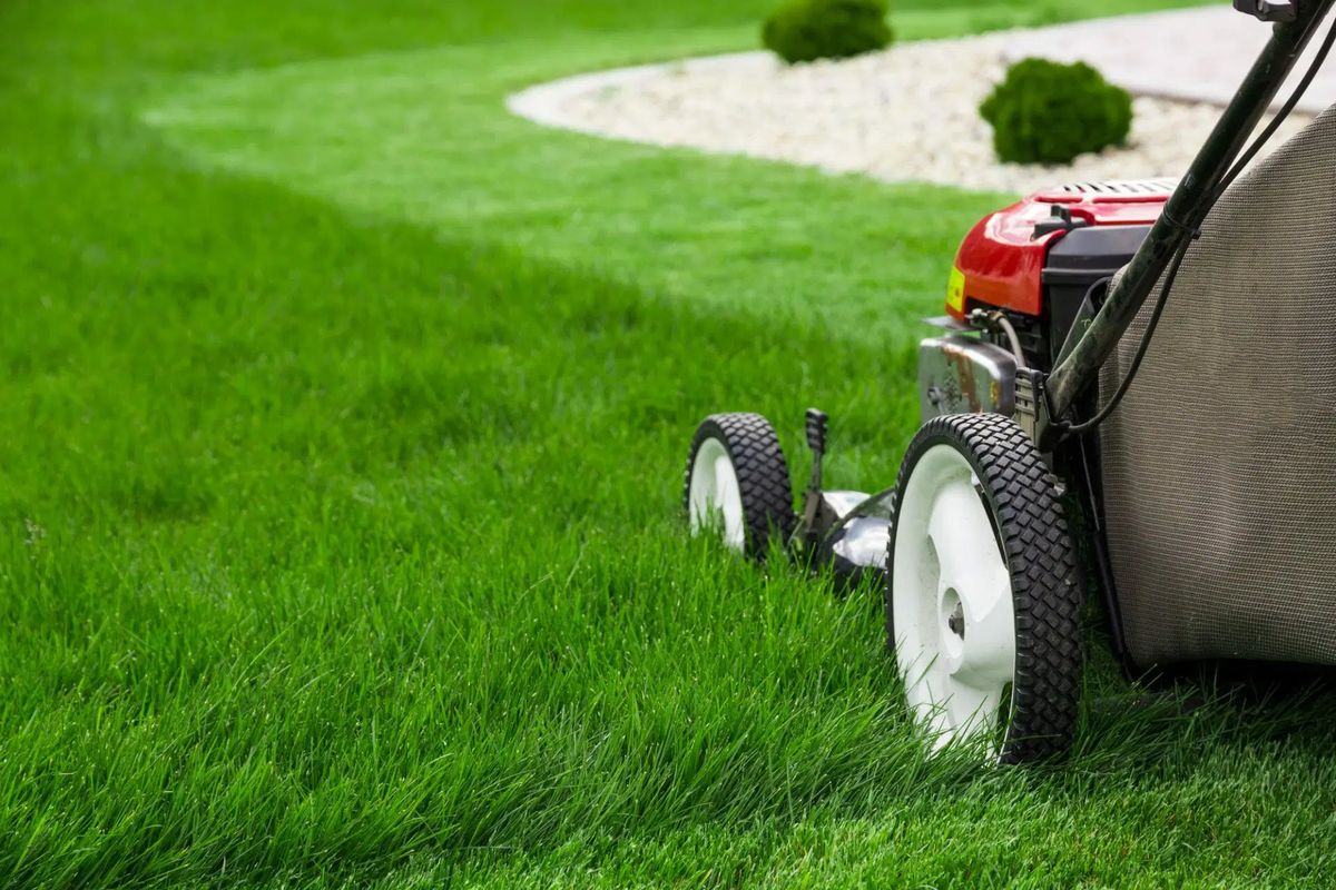 Creative Ways for Mowing Your Lawn