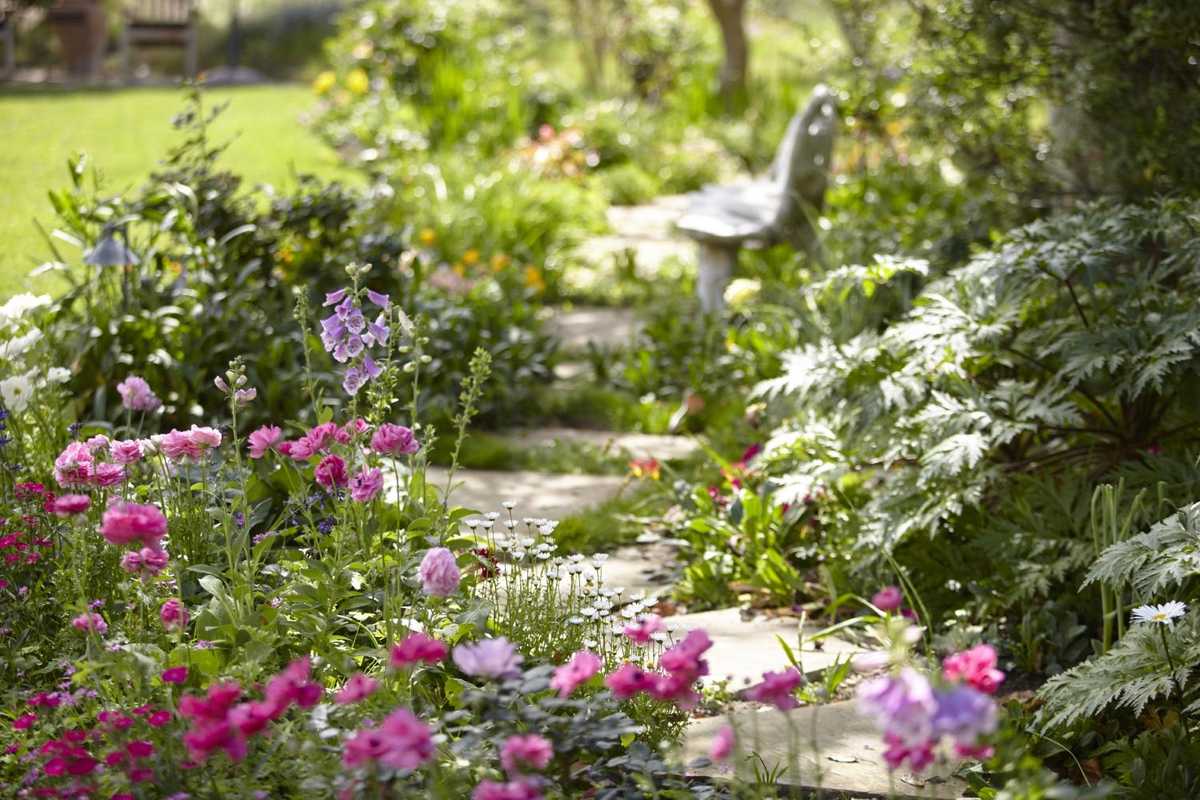 Designing a Healing Oasis in the Form of a Therapy Garden