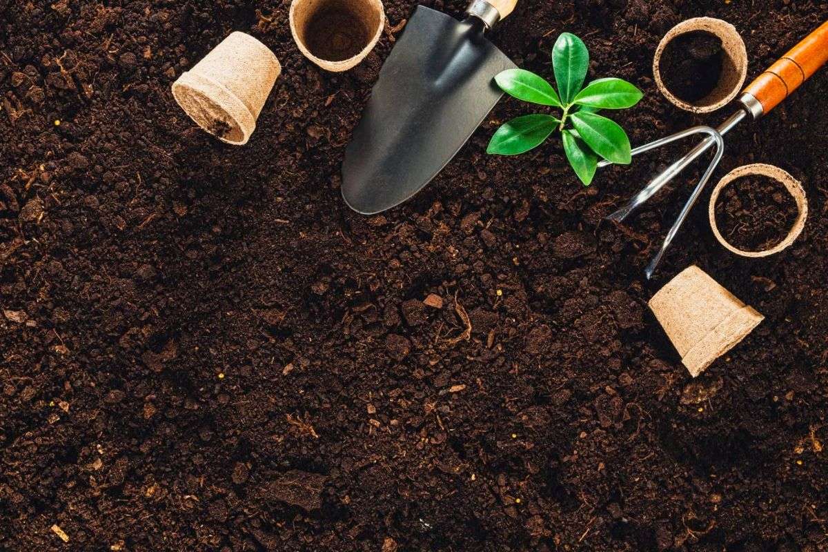 Understanding Garden Soil: Exploring Soil 101