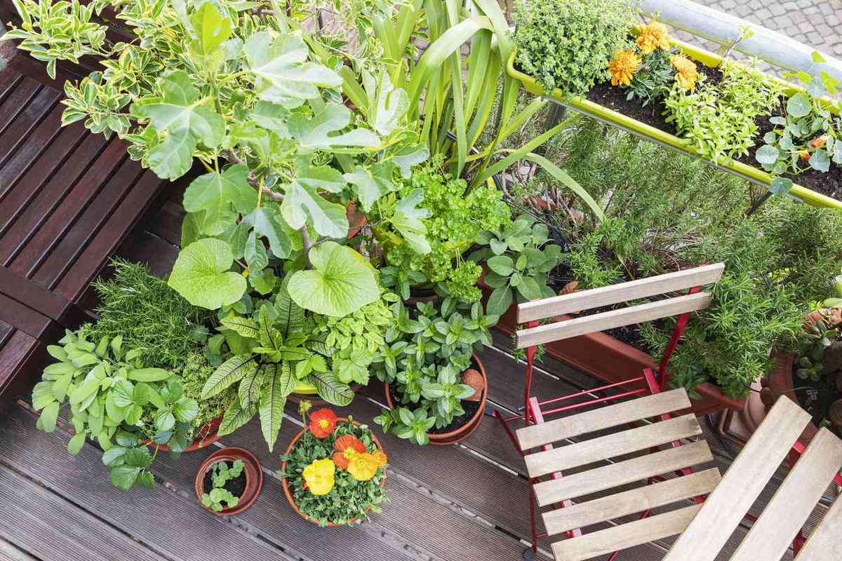 4 Tips for Designing the Perfect Balcony Garden